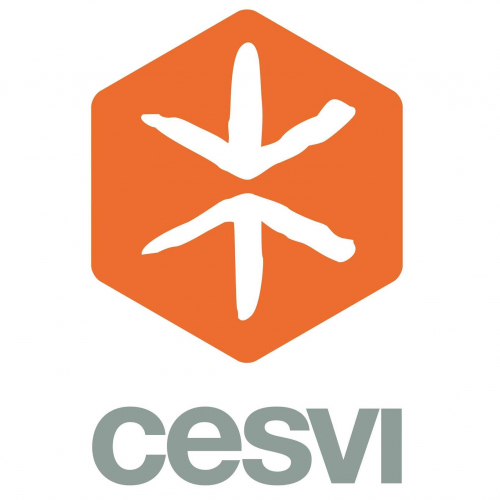 Training & Capacity Building Intern-CESVI