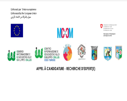 EXPERT(E) -CIES en Tunisie