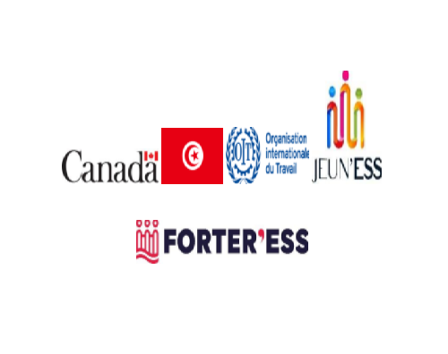 Bureau de consulting ou de deux expert.e.s en Economie Sociale et Solidaire (ESS) -OIT