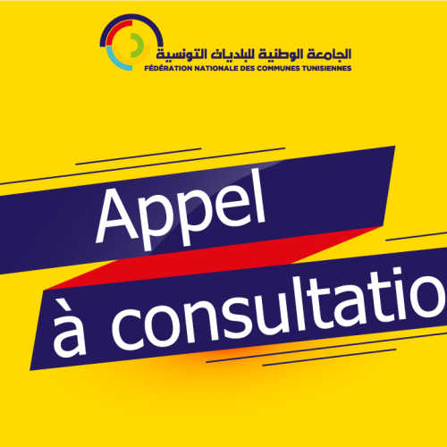 Appel à consultation-FNCT