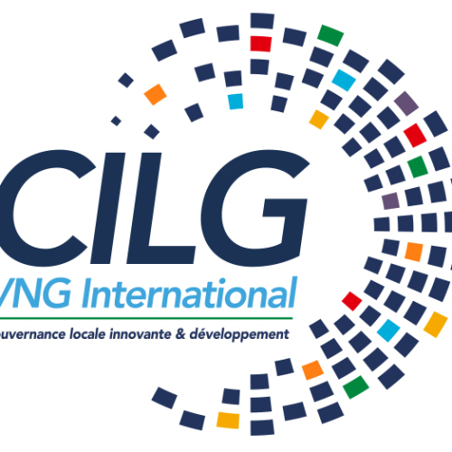 Coordinateur-accompagnateur local en Entrepreneuriat-CILG VNG International