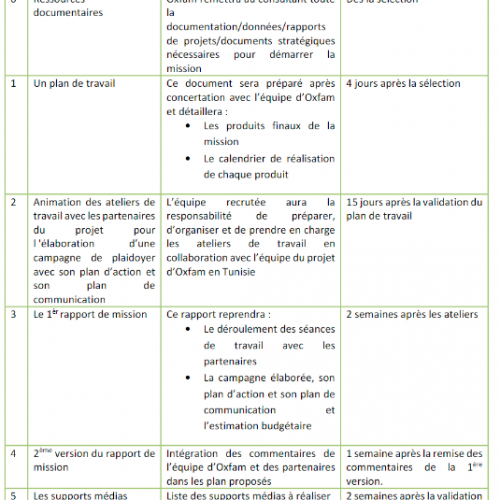 Directeur.rice adjoint.e -Vélorution Tunisie